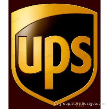 Express Delivery From Shenzhen / Guangzhou China to Sweden by UPS with Efficiency